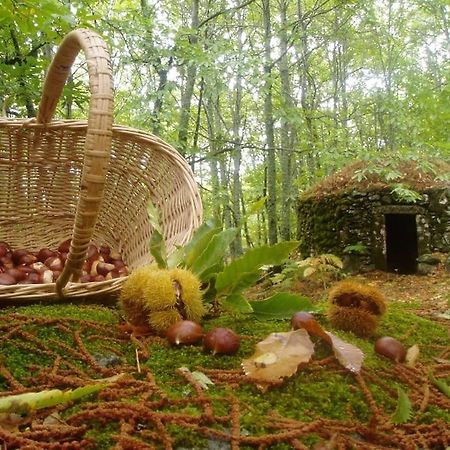 Casa Rural Margarita I Montánchez المظهر الخارجي الصورة
