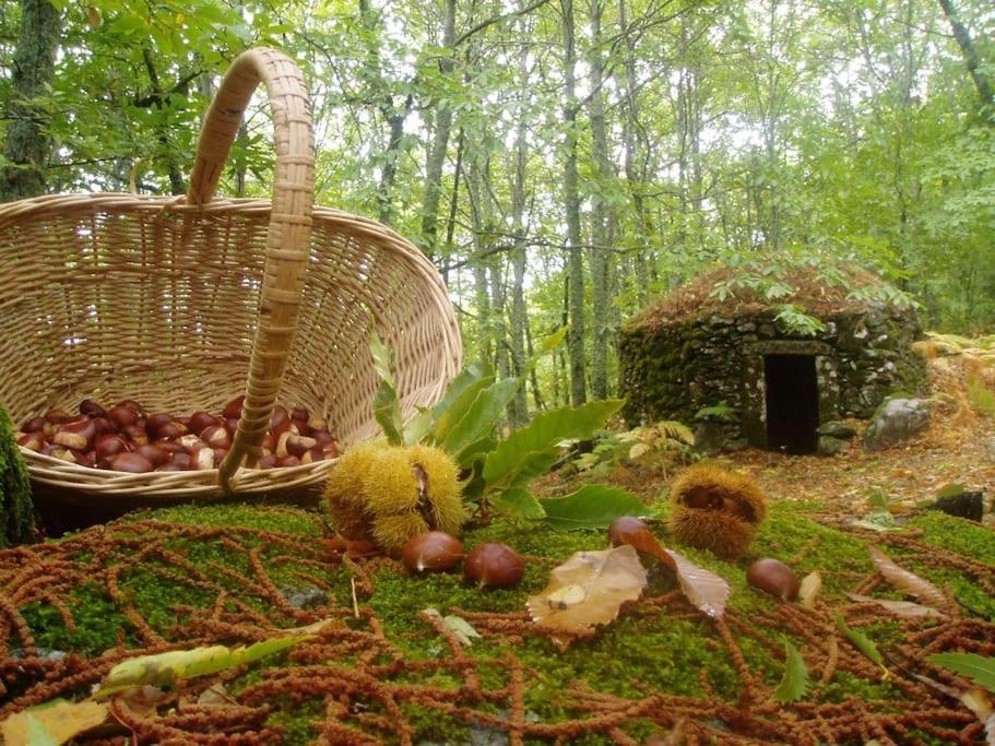 Casa Rural Margarita I Montánchez المظهر الخارجي الصورة